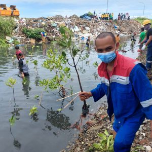 Penanaman Mangrove (Rhizopora) 6000 Bibit