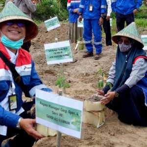 Konservasi Flora Endemik Sulawesi Untuk Ekosistem Burung Kacamata Sulawesi dan Burung Kakak Tua Sulawesi