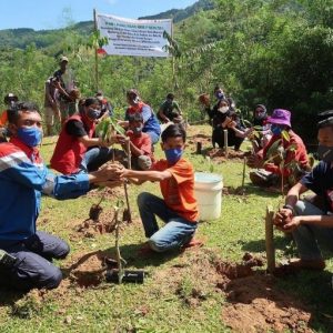 Penanaman Tanaman Endemik Sulawesi Untuk Vegetasi di Masyrakat 3T Dusun Cindakko Binaan DPPU Hasanuddin