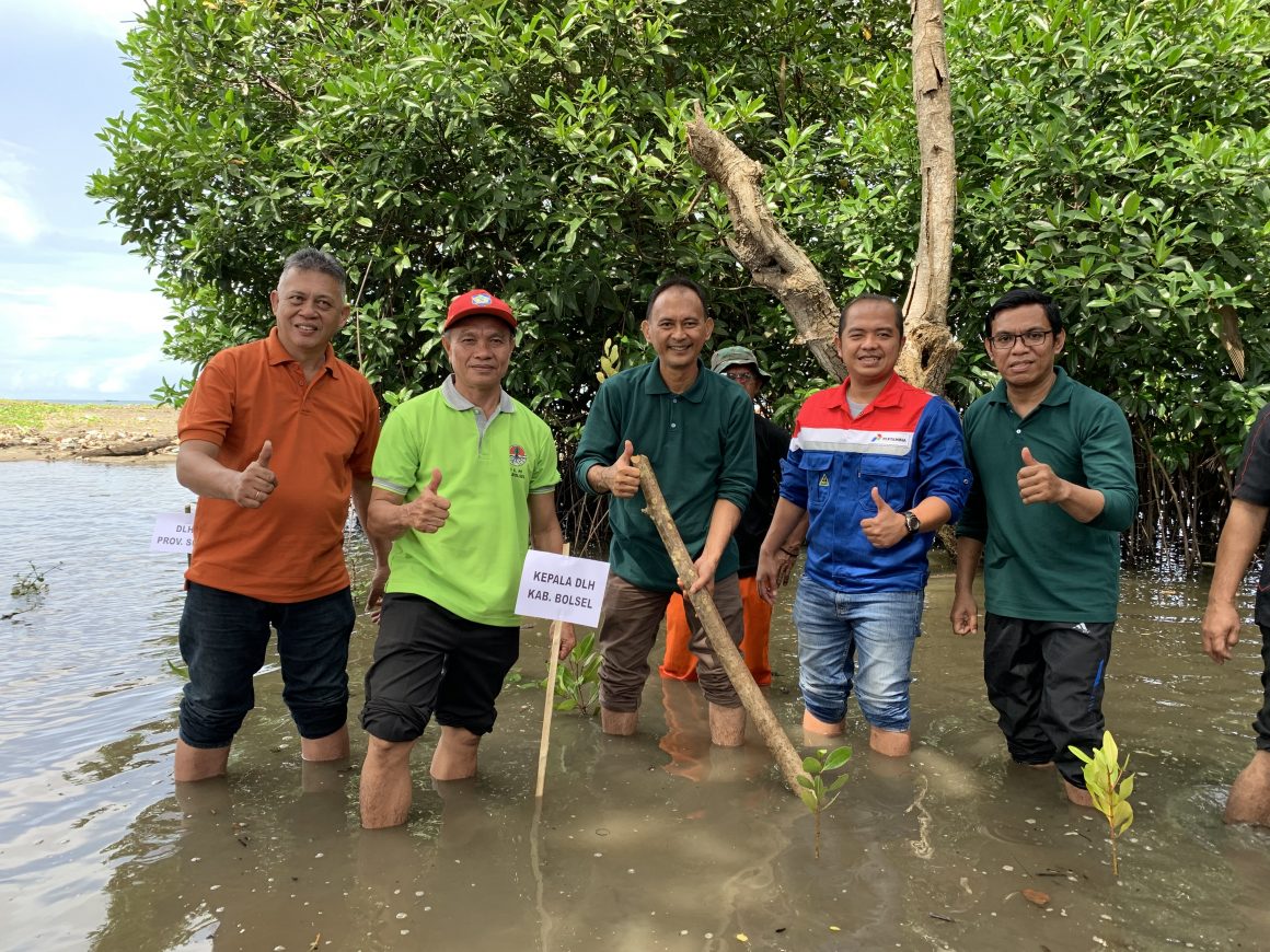 Penanaman Mangrove (Rhizopora)