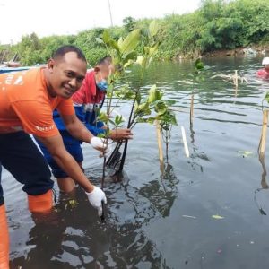 KCM (Kami Cinta Mangrove) Parepare