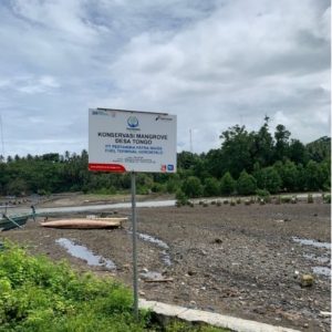 PROMAG (Probiotik untuk Tanaman Mangrove) sebagai Upaya dalam Meningkatkan Produktivitas Tanaman
