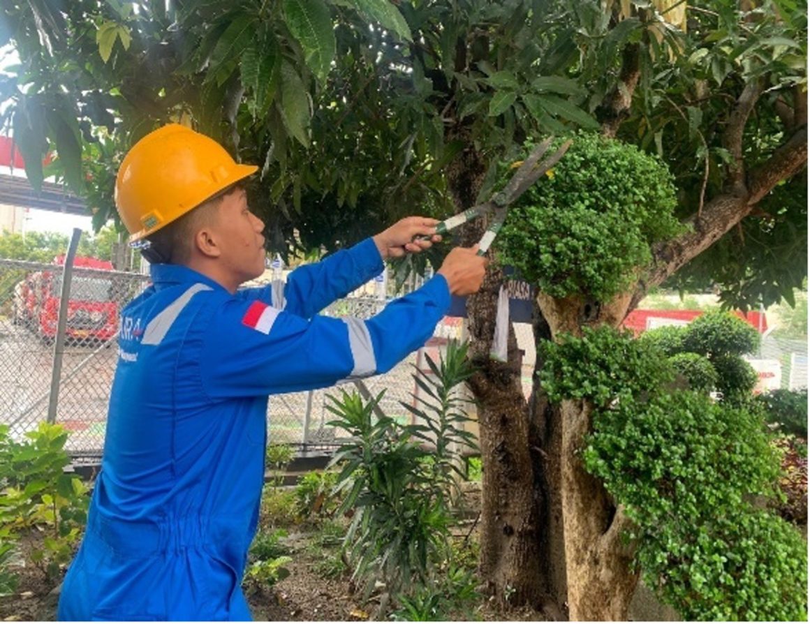 TUMBUH HIJAU (Taman Untuk Tumbuhan Hijau)